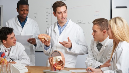 Product image for Physiologie du Vivant
