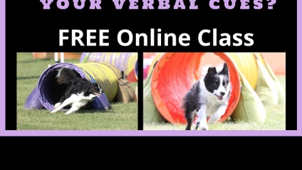 Product image for FREE COURSE:   What Are Your Verbal Cues?