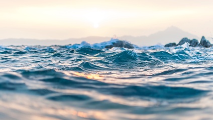 Product image for The SEA Practice