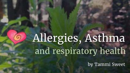 Product image for Allergies, Asthma, and Respiratory Health
