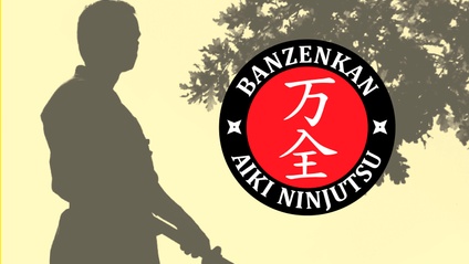 Product image for Aiki Ninjutsu Yellow Belt Curriculum