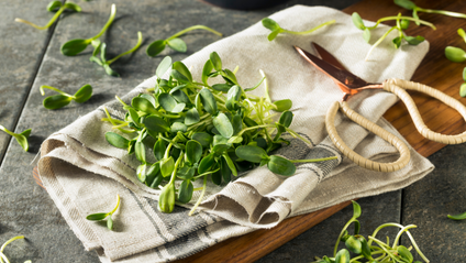 Product image for Sprouts & Microgreens | Homegrown Living Foods