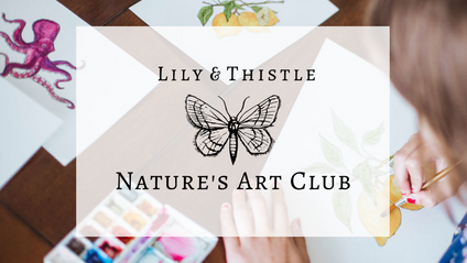 Product image for Nature's Art Club