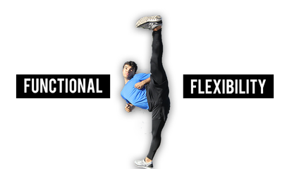 Product image for Functional Flexibility