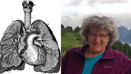Product image for Anatomy Adventure - Diving into the Lungs