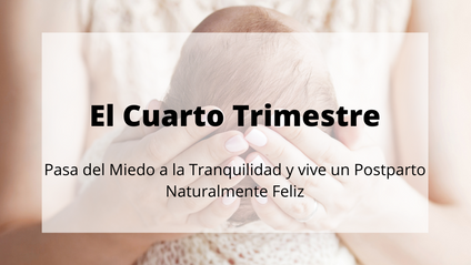 Product image for El Cuarto Trimestre