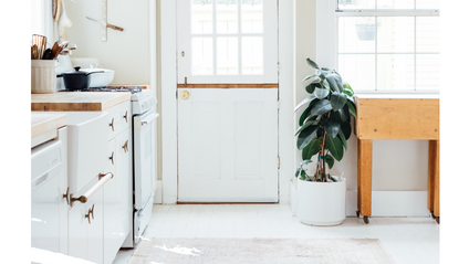 Product image for Pantry Clean Out