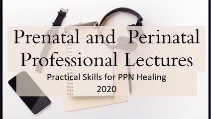Product image for Prenatal and Perinatal Professional Lectures with Experts