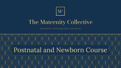Product image for The Maternity Collective Complete Online Postpartum Period and Newborn Care Course