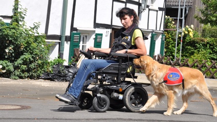 Product image for Ausbildung Assistenzhundetrainer Basic