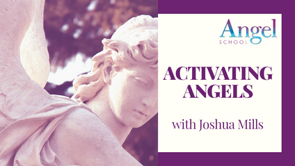 Product image for Angel School: Activating Angels, 501