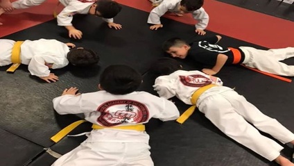Product image for YELLOW BELT CURRICULUM