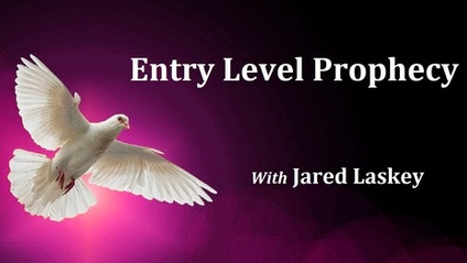 Product image for Entry-Level Prophecy