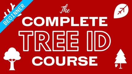 Product image for The Complete Tree ID Course - BEGINNER