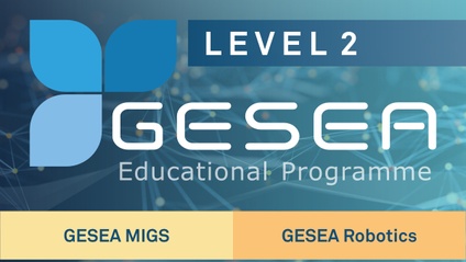 Product image for GESEA E-Learning – Level 2 MIGS