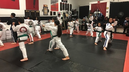Product image for GREEN TO PURPLE BELT CURRICULUM