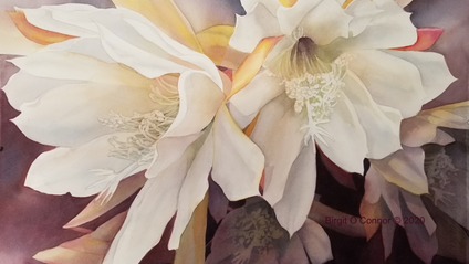 Product image for Floral Passion Star flower, Independent Study