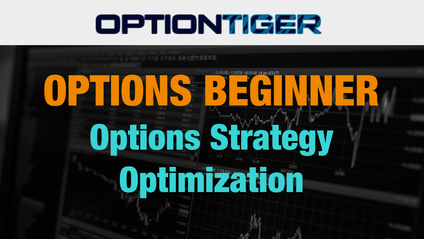 Product image for Option Strategy Optimization