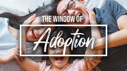 Product image for Window of Adoption - Windows to the Father's Heart Series