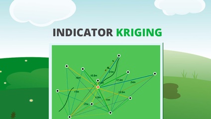 Product image for What Is Indicator Kriging?