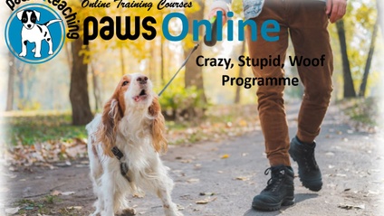 Product image for Crazy, Stupid, Woof Programme