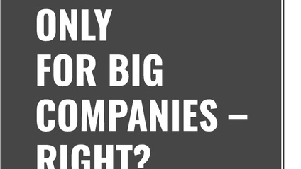 Product image for Chapter 10 - Systems Are Only For Big Companies - Right?
