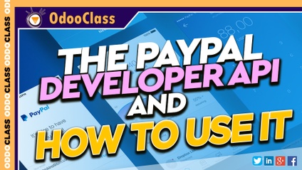 Product image for The PayPal Developer API and How To Use It