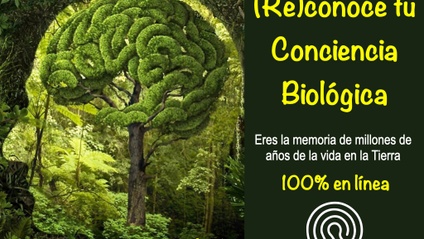 Product image for (Re)conoce tu conciencia Biológica. Biodescodificación Científica (El código de la observación)