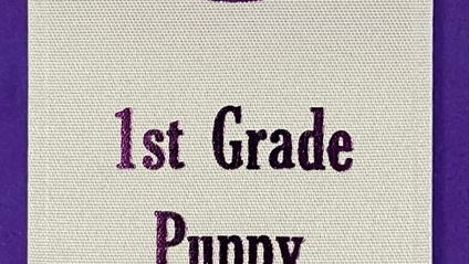 Product image for 1st Grade Course