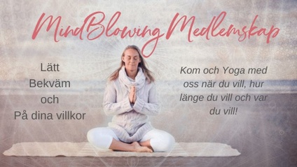 Product image for MindBlowing Medlemmar