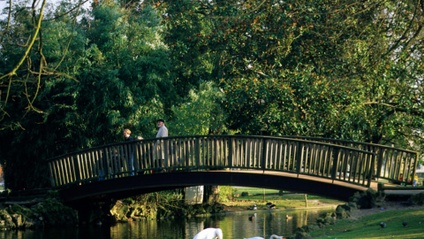 Product image for Gardens in France Part 2