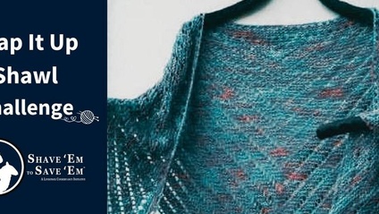 Product image for Wrap It Up Shawl Challenge