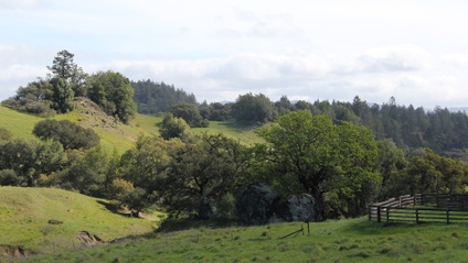 Product image for 102: Introduction to Ecosystem Processes