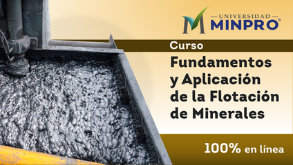 Product image for Fundamentos y Aplicación de la Flotación de Minerales