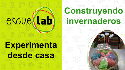 Product image for Construyendo invernaderos