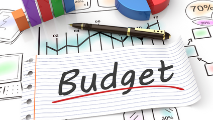 Product image for Site Budget Development and Negotiation Strategy for Study Sponsors