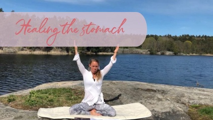 Product image for Healing the stomach