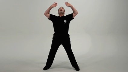 Product image for Qi Gong Health Exercises