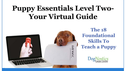Product image for Puppy Essentials - Level 2 Your Virtual & In-Person Guide To 18 Foundational Puppy Skills
