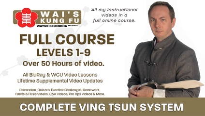 Product image for Sifu Wayne's Complete Ving Tsun System