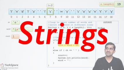 Product image for JAVA - Module 11 - STRINGS
