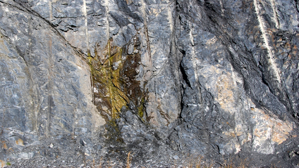 Product image for Naturally Fractured Reservoir Recognition & Characterization: Fluid Flow