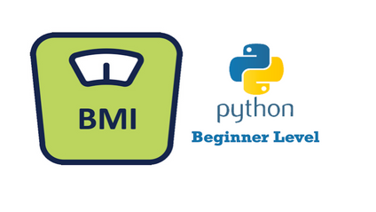 Product image for Python: Body Mass Index Calculator (Gr. 9-10)