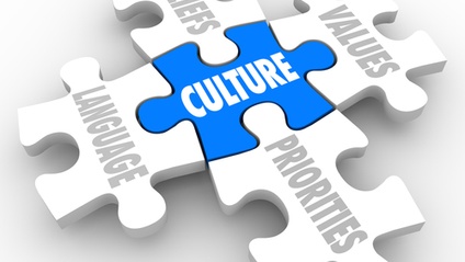 Product image for Tactics and Courage to Appraise Corporate Culture