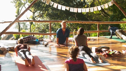 Product image for Hatha & Vinyasa Adjustments Bundle Package!