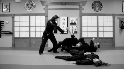 Product image for Aiki Ninjutsu Master's Club Curriculum