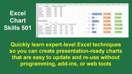Product image for Excel Chart Skills 501