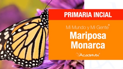 Product image for 1º. 13. Mariposa monarca (Maestro)