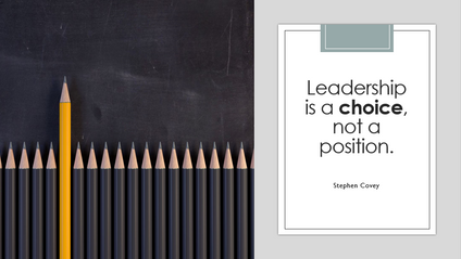 Product image for The choice of leadership