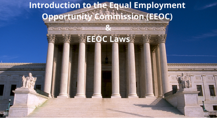 Product image for E-book - Introduction to the Equal Employment Opportunity Commission (EEOC) & Equal Employment Opportunity Commission (EEOC) Laws